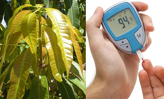 “Cây nhà lá vườn” nhưng cực kỳ hiệu quả trong việc điều trị bệnh tiểu đường 7