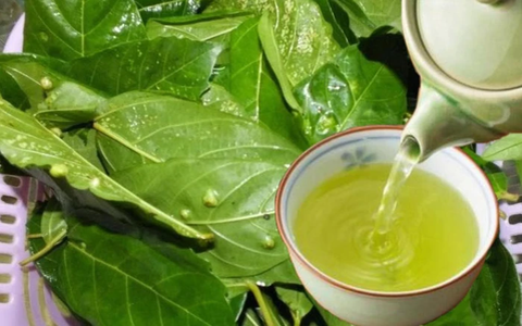 “Cây nhà lá vườn” nhưng cực kỳ hiệu quả trong việc điều trị bệnh tiểu đường 8