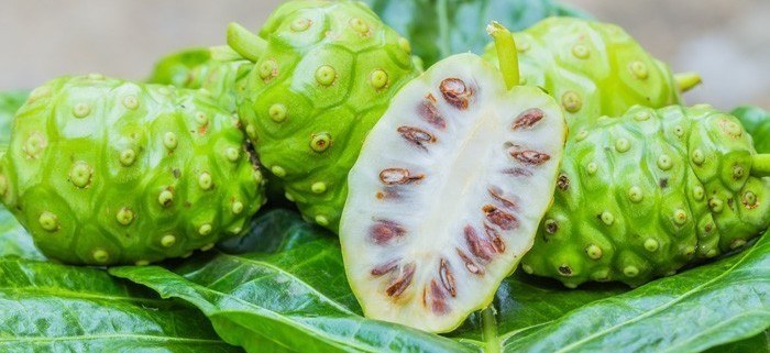 “Cây nhà lá vườn” nhưng cực kỳ hiệu quả trong việc điều trị bệnh tiểu đường 9
