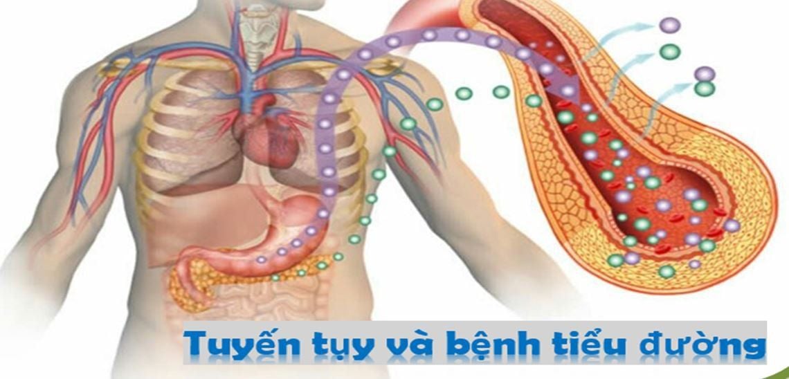 Bản chất của bệnh là do tuyến tụy bị tổn thương, thuốc Tây điều trị triệu chứng bệnh nhưng lại làm tổn thương thêm tuyến tụy! Sao lại như thế? 1