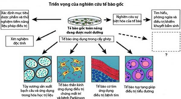 Bệnh tiểu đường hoàn toàn có thể khỏi hẳn 4