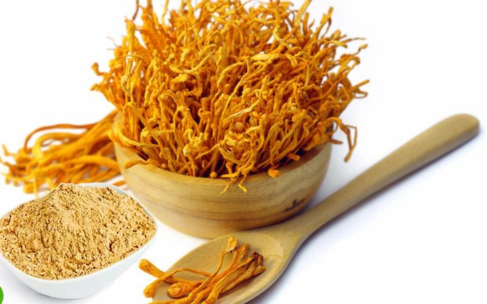 Đông trùng hạ thảo - Điều hòa đường huyết và ngăn ngừa biến chứng cho người bệnh tiểu đường 11