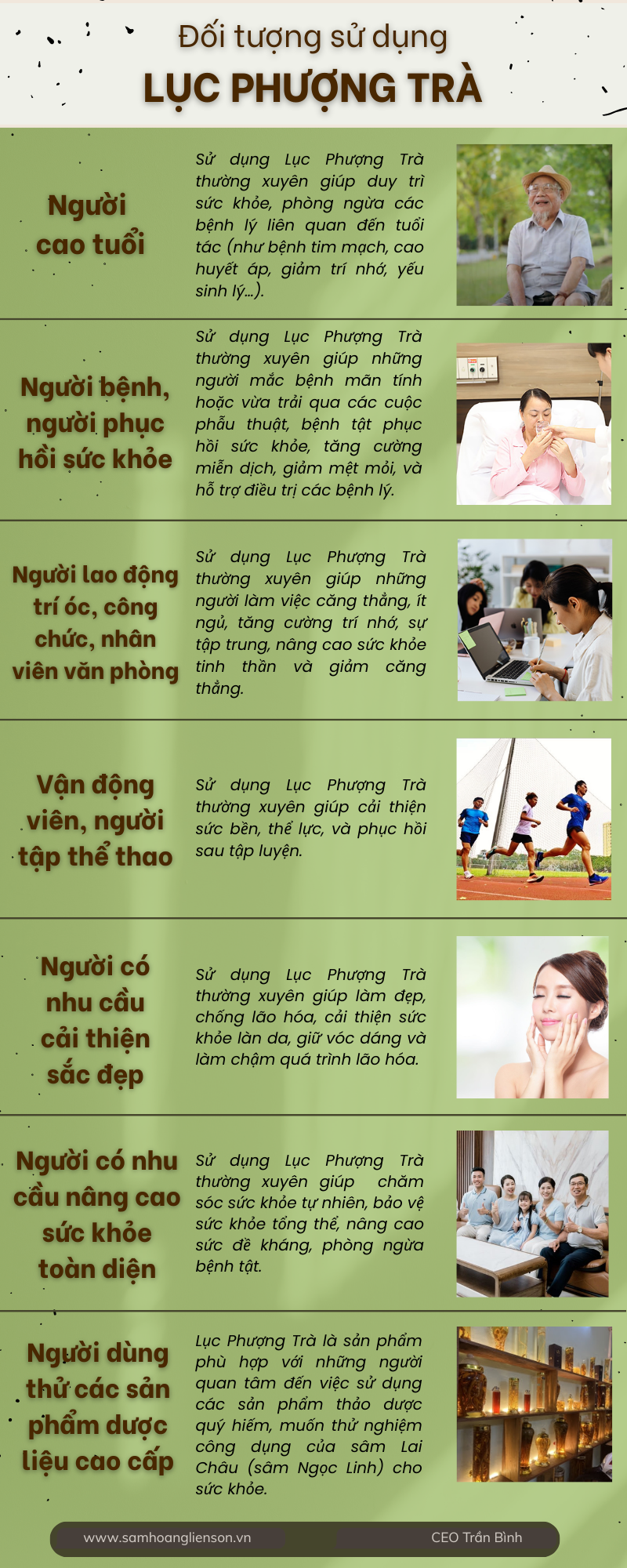 Lục Phượng Trà (phân khúc sử dụng) 2