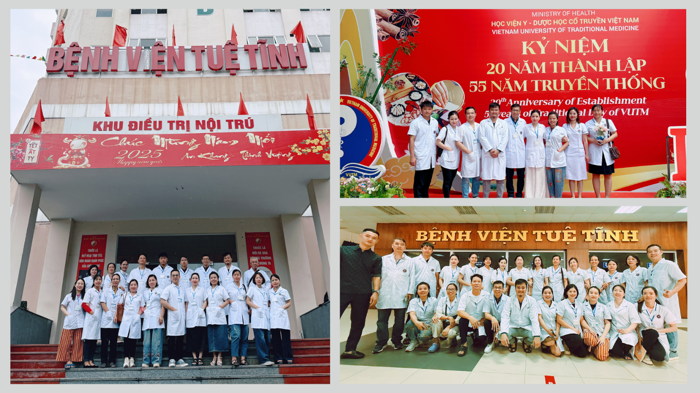 Trà Sâm An Đường (1 hộp 30 gói- liều tiêu chuẩn) 3